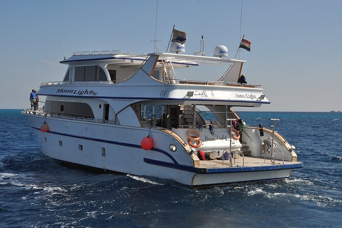 Dolphin House Snorkel & Water Fun Activity with Lunch - Hurghada - Snorkeling gear, life jacket, and what “guided” changes