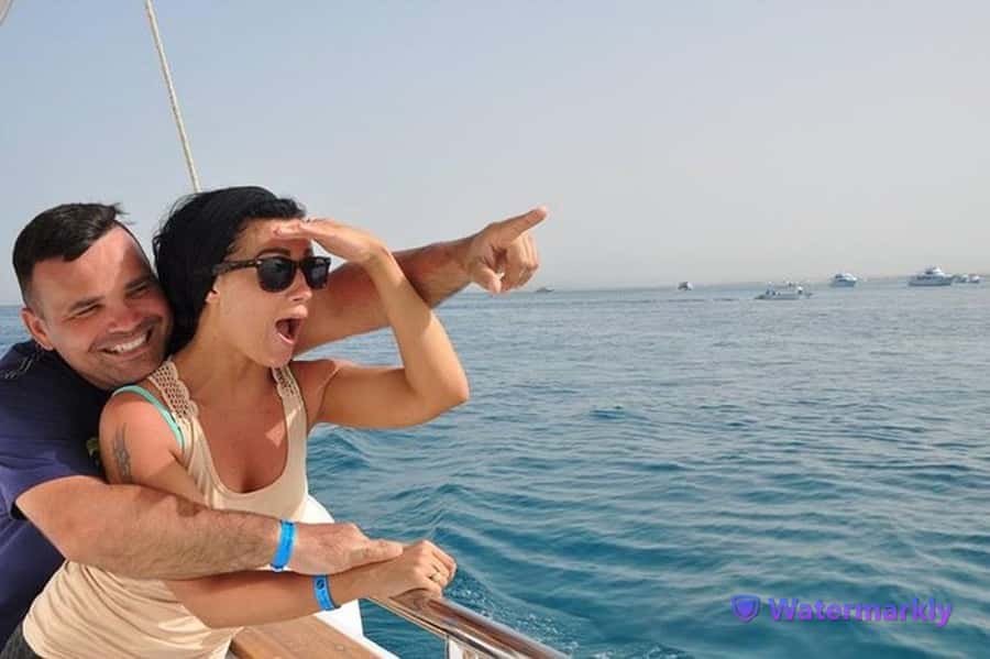Dolphin house snorkeling trip - Dolphin House: what you’re really signing up for