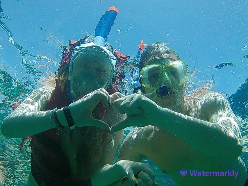 Dolphin house snorkeling trip - Lunch on board: simple, included, and actually helpful