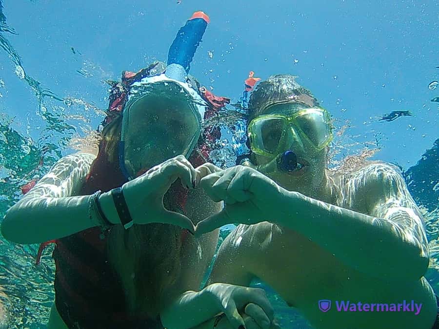 Dolphin house snorkeling trip - What to bring (and what the day will ask of you)