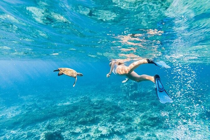 Dolphin House Snorkeling Trip + Water Sport With Lunch - Hurghada - Who should book this Hurghada trip?