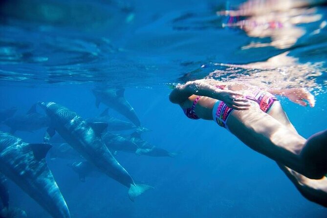 Dolphin House Snorkeling Trip + Water Sport With Lunch - Hurghada - Should you book Dolphin House snorkeling plus water sports with lunch?