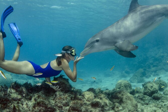 Dolphin House Snorkeling Trip & Water Sports with Lunch -Hurghada - Dolphin House Snorkeling: what you’ll be doing in the water