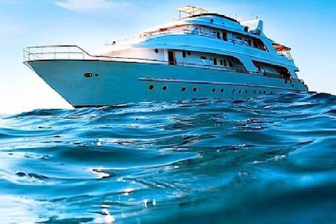 Dolphin House Snorkeling Trip & Water Sports with Lunch -Hurghada - Lunch onboard: simple, timed well, and not a gourmet meal