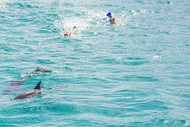 Dolphin House Snorkeling Trip & Water Sports with Lunch -Hurghada - Price and value in Hurghada: the $15 base plus cash fees