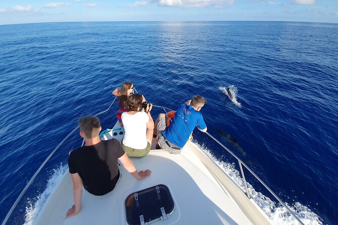 Dolphin house Snorkeling trip with Banan & Sofa Boat in Hurghada - Dolphin House in Hurghada: Why This Trip Works