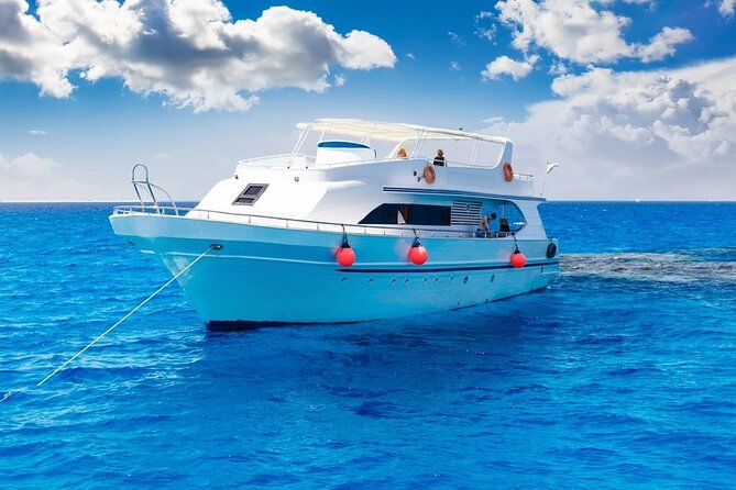 Dolphin house Snorkeling trip with Banan & Sofa Boat in Hurghada - Transfers and Extra Fees: The Real Price You Should Plan For