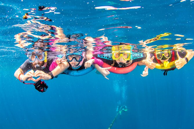 Dolphin house Snorkeling trip with Banan & Sofa Boat in Hurghada - How the Morning Runs: Pickup, Dock Time, and First Gear Check