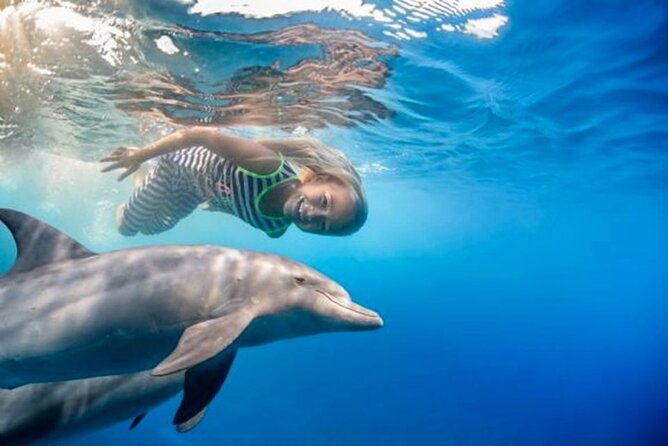 Dolphin House with Snorkeling in Hurghada - Snorkeling gear and life jackets: what’s included, and what to watch