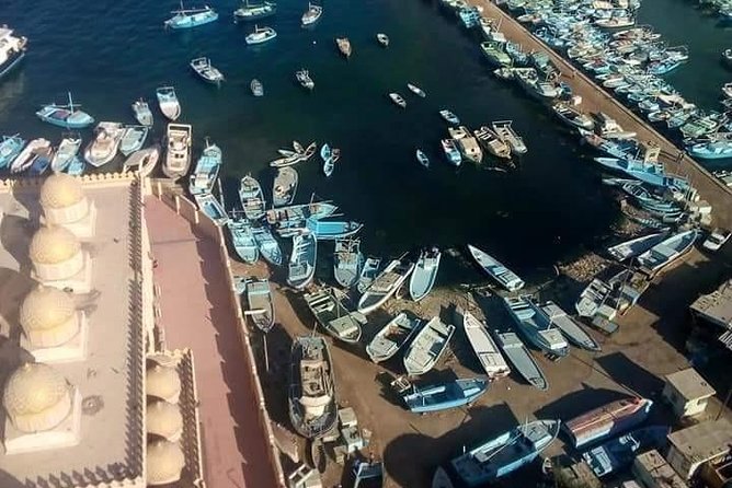 Dolphin House with Snorkeling in Hurghada - Stop 1: the Dolphin House swim and why timing matters