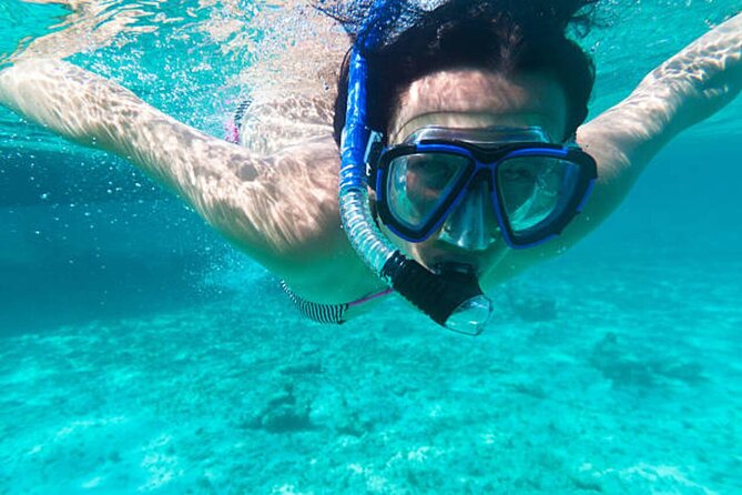 Dolphin House With Snorkeling & Lunch -Hurghada - Dolphin House, snorkeling, and lunch: why this day trip works