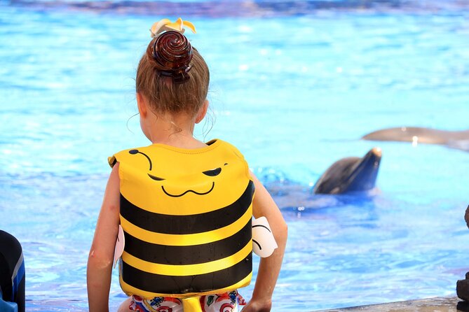 Dolphin Show & Photoshoot Package with Transfer from Hurghada - Key Highlights You’ll Care About