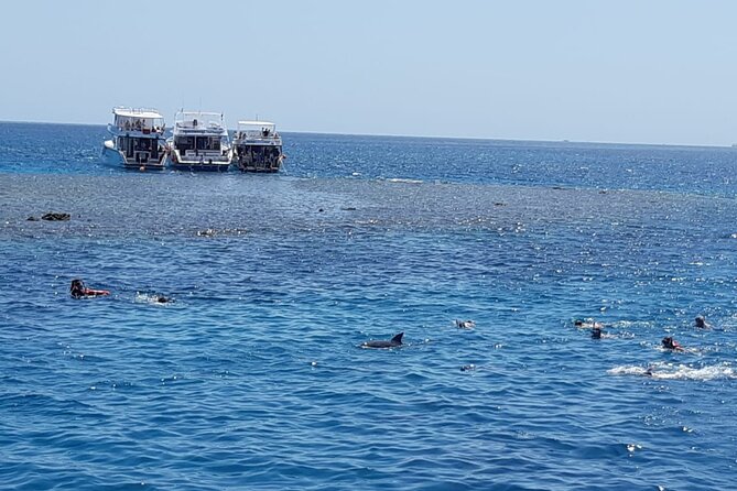 Dolphin Tour Banana Boat from Soma /Sahl Hasheesh/makadi/Safaga - Group Size (Up to 20): How It Affects Your Day