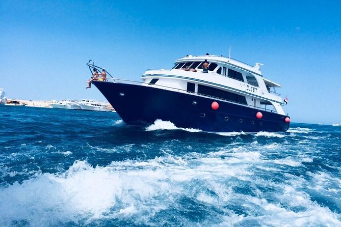 Dolphin Tour in Hurghada - Dolphin House Day Trip: What You Pay for $23.26 in Hurghada