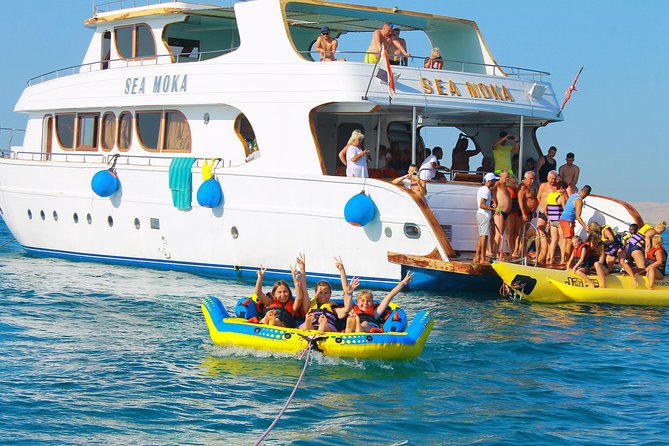 Dolphin Tour in Hurghada - Who This Hurghada Dolphin Tour Fits Best