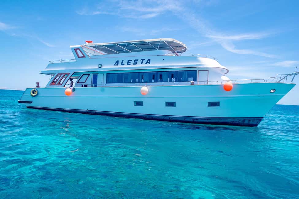Dolphin Tour with Red Sea Fun. The Best in Hurghada - Hurghada Harbor Pickup and the 08:30 Dolphin Hunt