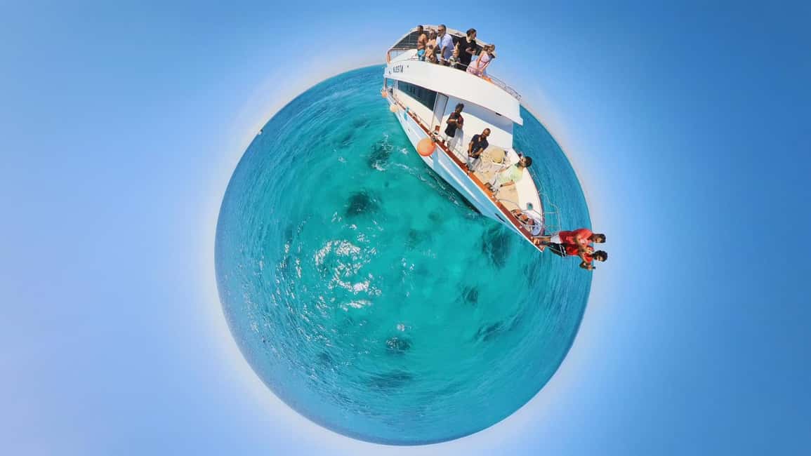 Dolphin Tour with Red Sea Fun. The Best in Hurghada - VIP Dolphin Dreams: What Happens When Dolphins Show Up