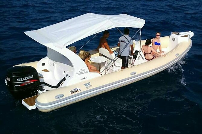 Dolphin trip with private speedboat and snorkeling - The Dolphin House Swim: How to Enjoy It Without Stress
