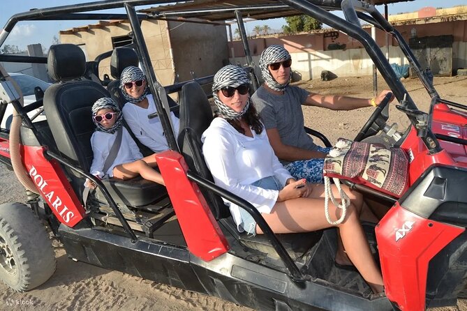 Double Buggy with Dinner, Camel Ride & Stargazing Sharm AlSheikh - Camel ride option: short and memorable, not a full trek