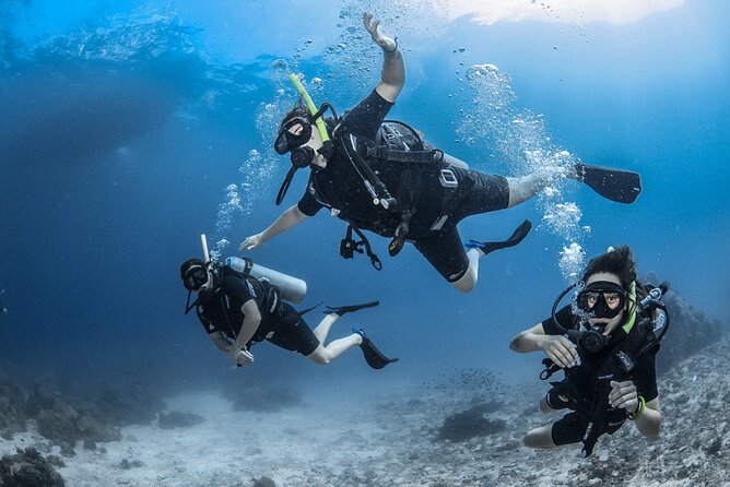 Dream to Dive full Course & private Dive Instructor PADI - Key things to know before you go
