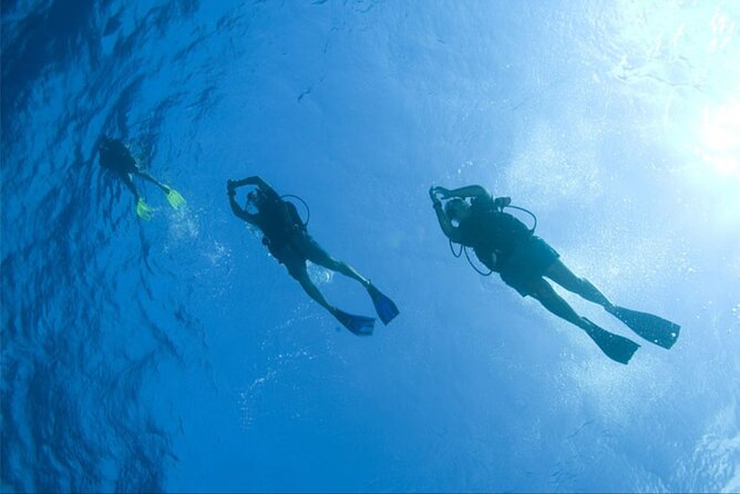 Dream to Dive full Course & private Dive Instructor PADI - Makadi Bay vs El Gouna: choosing the comfort level you’ll enjoy most