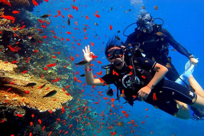 Dream to Dive full Course & private Dive Instructor PADI - Open-water training sessions: applying your skills at real reef conditions