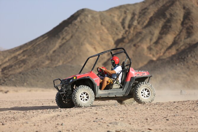 Dune Buggy Safari in Hurghada Desert (Polaris RZR) - Bedouin village time, camel ride, and the show element