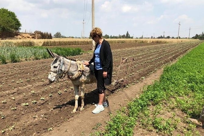 Egypt Day tour in countryside - Quick hits