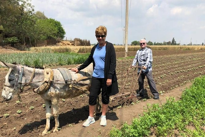 Egypt Day tour in countryside - Why this Cairo countryside trip feels different