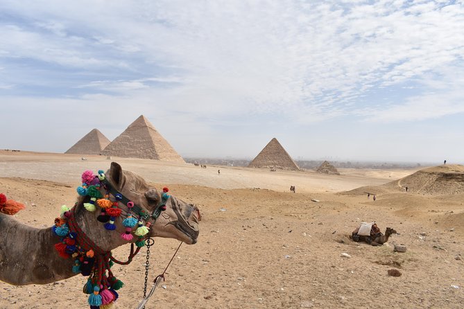 Egypt Tours package for 6 Days - Day 1 in Cairo: arrive, get oriented, then enjoy Cairo your way