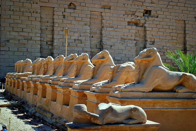 Egypt trip package for 8 nights with tours and a Nile cruise trip - Giza pyramids day: the morning that sets your tone