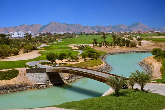 EL Gouna City Tour: Guided Tour with Shopping Stops from Hurghada - Shopping Stops: How to Turn Them Into a Win