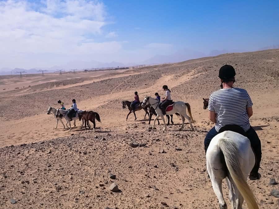El Gouna: Desert & Sea Horse Riding With Swimming Optional - Before you ride: safety briefing, helmet, and matching your level