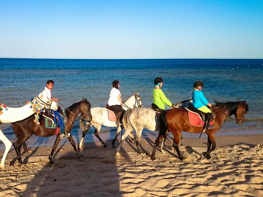 El Gouna: Desert & Sea Horse Riding With Swimming Optional - The 2-hour horse ride: what the route feels like