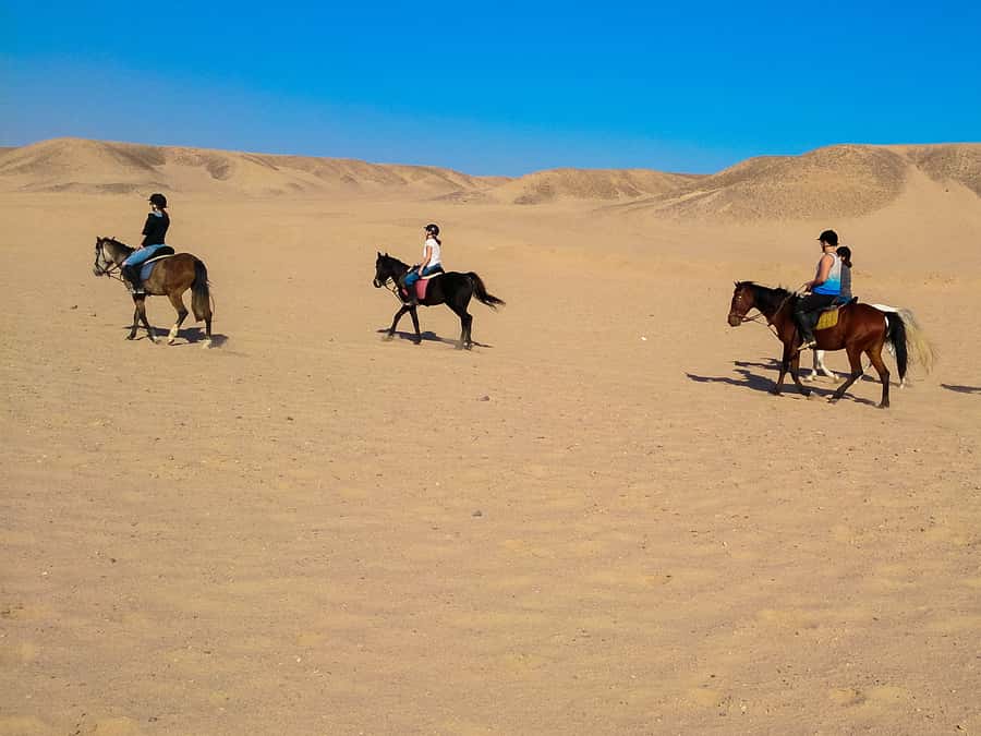 El Gouna: Desert & Sea Horse Riding With Swimming Optional - Quad + horse: the cooler-morning double adventure
