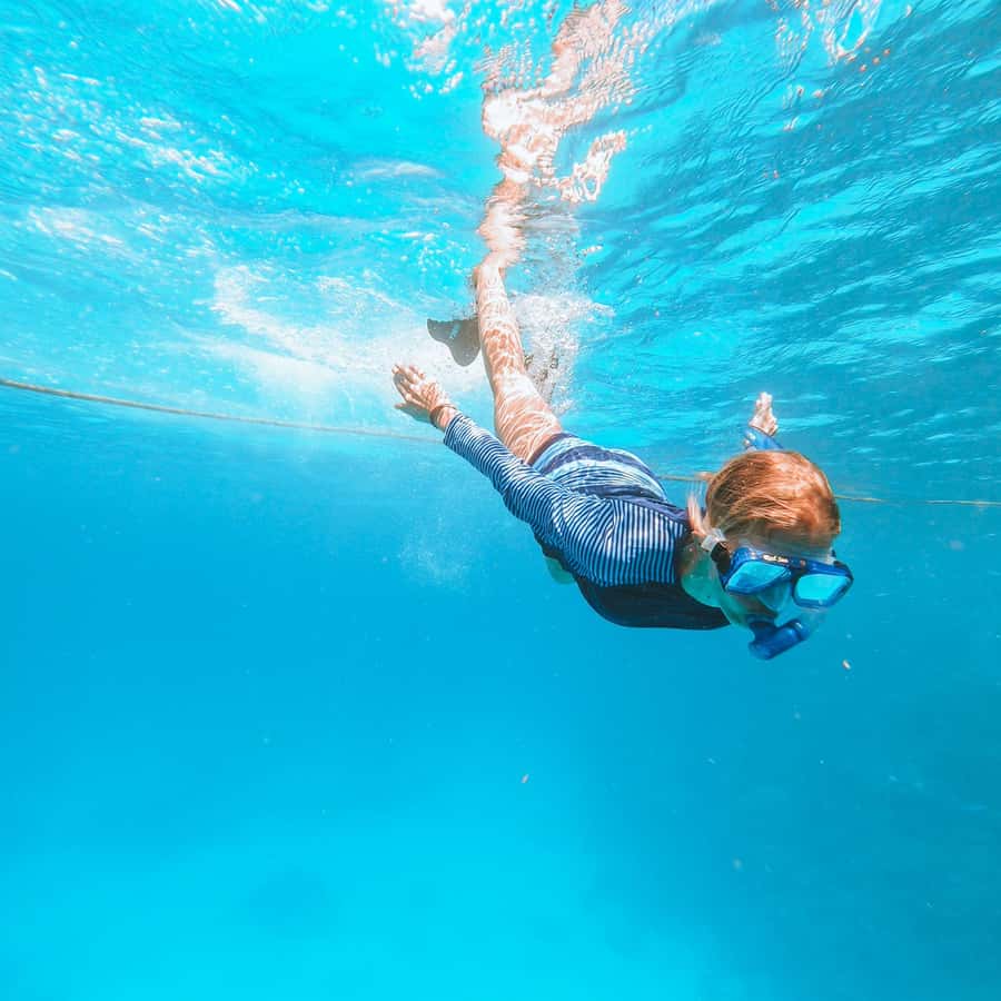 El Gouna: Red Sea Snorkeling Adventure with Transfers - Hotel-to-Reef: How the Day Trip Really Works