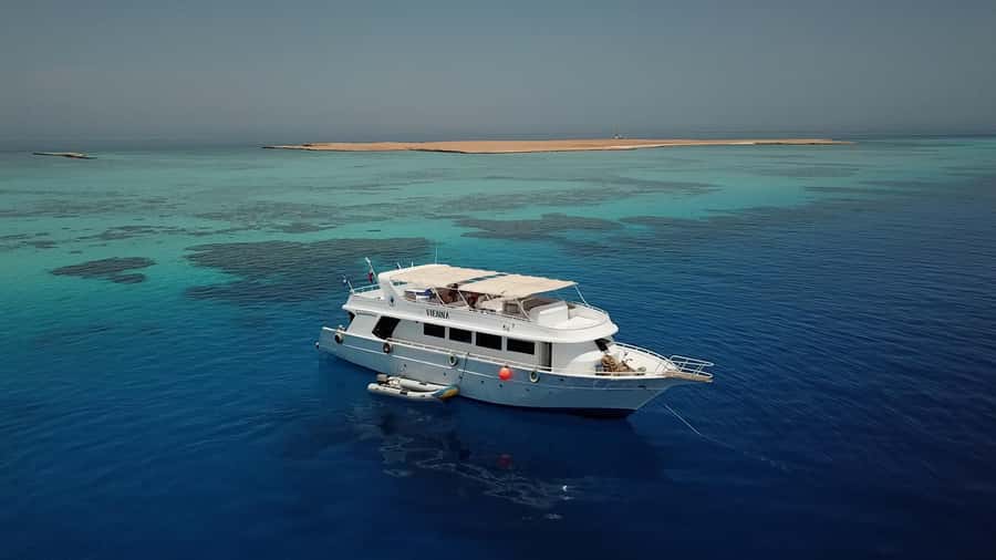 El Gouna: Red Sea Snorkeling Adventure with Transfers - Language Support and Communication on the Day