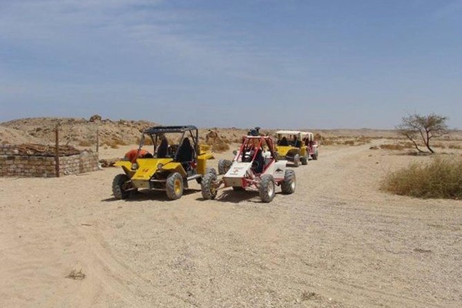 El Gouna Sahara Dune Buggy Morning Adventure - Key things that make this ride worth your time