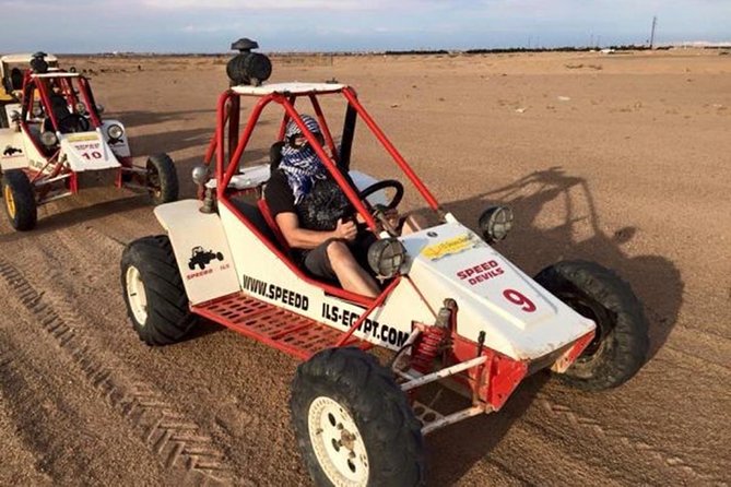 El Gouna Sahara Dune Buggy Morning Adventure - Price and logistics: what $110.34 really buys you