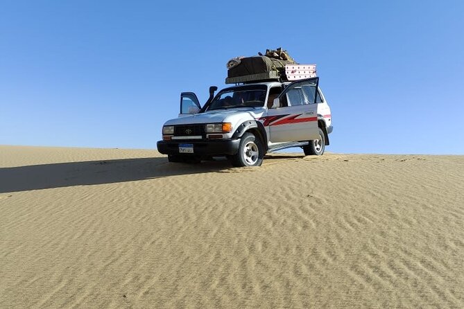 Enjoy safari The black and white desert two night 3 days - Starting at Bahariya Oasis: The Day-1 Rhythm