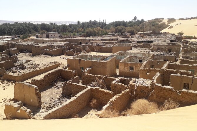 Enjoy safari The black and white desert two night 3 days - Guides Make the Difference: English + Real Desert Confidence