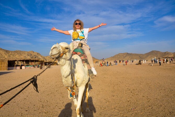 Enjoy with 1 - Hour Camel Ride with Transportation in Hurghada - Key highlights before you go
