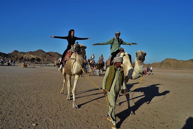 Enjoy with 1 - Hour Camel Ride with Transportation in Hurghada - Pickup, helmet, and safety rules that you’ll actually appreciate