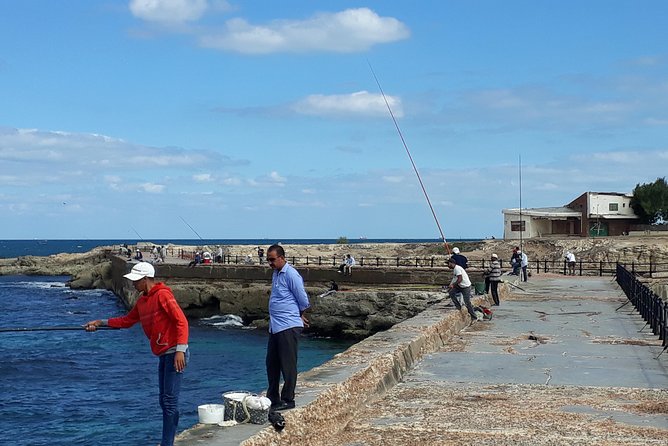 Exceptional Alexandria tour from Cairo + Alexandria food tour - Bibliotheca Alexandrina: the modern library (and what happens on Fridays)