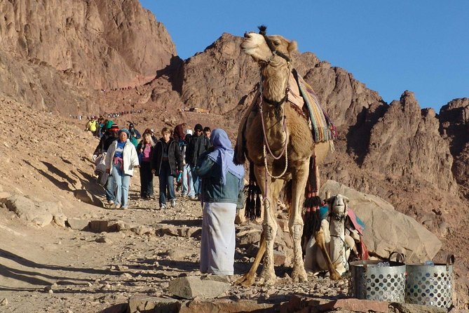 Excursion to Mosesberg and Kathrinen Monastery from Sharm el Sheikh - Mount Moses at first light: why this is worth the effort