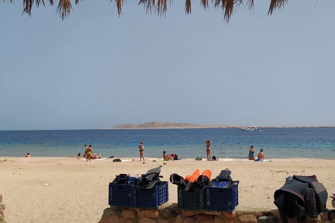 Excursion to Ras Mohammed Sharm El Sheikh by bus - Mangroves, rare birds, and the quiet science stop you’ll remember
