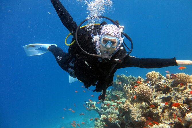 Excursion to Tiran Island by boat - Timing and logistics: the two things that can make or break the day
