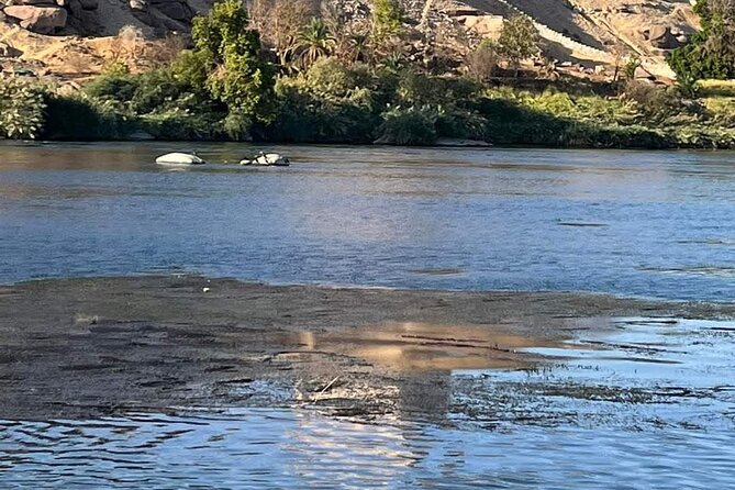 Exotic Nile Cruise tour - Day 4: Agilkia Island and Philae Temple in Aswan