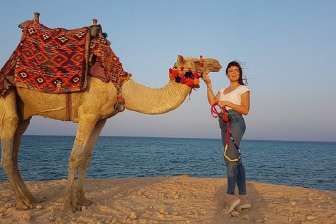 Experience Camel Riding in the Stunning Desert - Hurghada - Key highlights you’ll care about