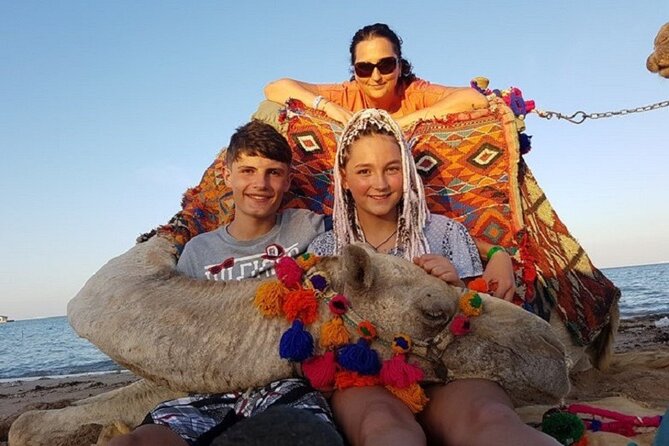 Experience Camel Riding in the Stunning Desert - Hurghada - Price and Value: $16.27 Plus Two Cash Costs You Should Plan For